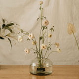 Florero_de_Vidrio_Transparente_Mediano_Domo