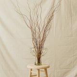 Florero_Alto_de_Vidrio_Reciclado_Transparente