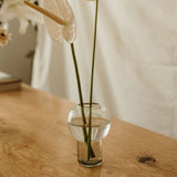 Florero_Chico_de_Vidrio_Transparente
